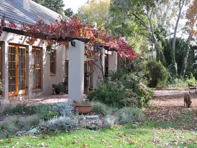 a house with a pergola with a cat walking in the yard at Languedoc in Stellenbosch