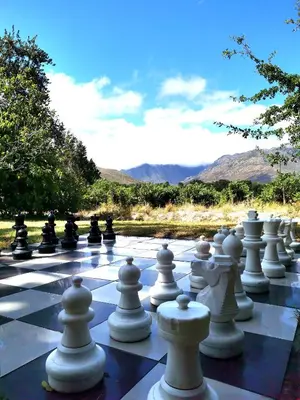a large chessboard with white chess pieces on it at Le Manoir de Brendel in Franschhoek