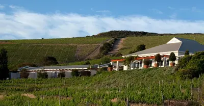 a building on a hill next to a vineyard at Zevenwacht Country Inn in Kuilsrivier