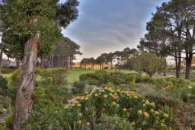 a garden with flowers and trees in a park at Hermanus Lodge on the Green - Solar Power in Hermanus