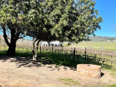 a tree and a brick barrel in front of a fence at Groenvlei Guest Farm in Kuilsrivier