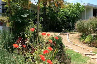 a garden with red flowers next to a house at Annika Self-catering and B&B in Stellenbosch