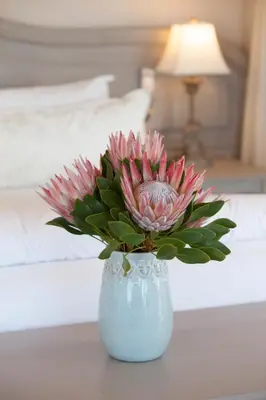 a blue vase with a pink flower on a table at Hermanus Boutique Guest House in Hermanus