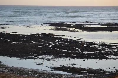 a view of the ocean with seaweed on the beach at Ocean View 201A in Strand