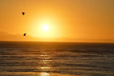 two birds flying over the ocean at sunset at Ocean View 201A in Strand