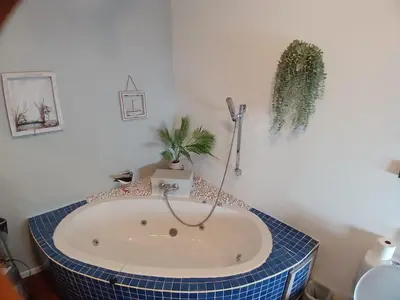 a bathroom with a tub with a plant in it at Ons Stee Bed and Breakfast in Wellington
