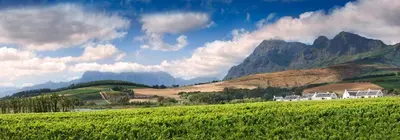 a green field with houses and mountains in the background at Babylonstoren in Simondium