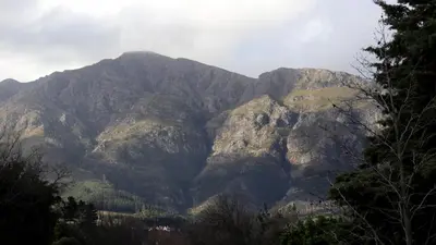 a view of a mountain range with trees at Daisy Place in Franschhoek