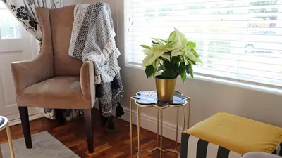 a living room with a chair and a plant on a table at Daisy Place in Franschhoek