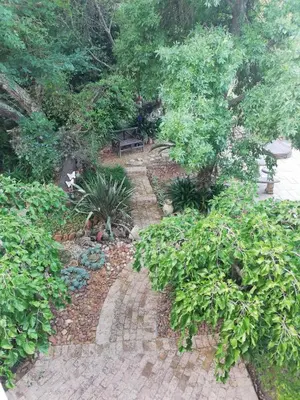 a garden with a stone path and a bench at Leeuwenhof Guesthouse in Caledon