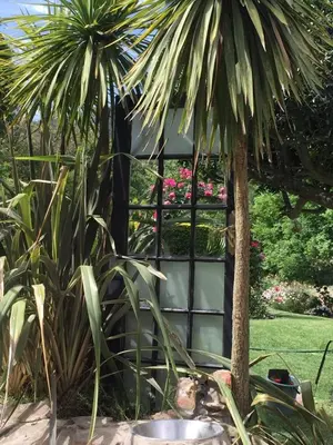 a garden with a palm tree and a building at Leeuwenhof Guesthouse in Caledon