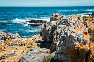 a group of rocks on the shore of the ocean at Schulphoek Seafront Boutique Hotel in Hermanus