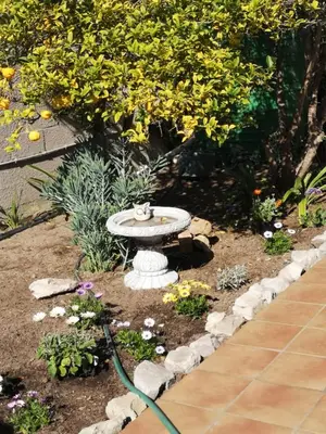 a garden with a bird bath and flowers at On Cloud 9 in Hermanus