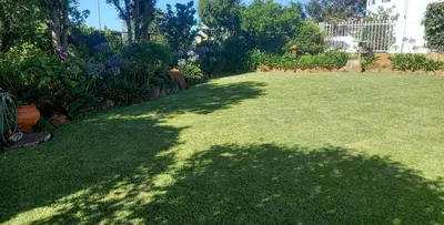 a shadow of a tree on a lawn at Braeview Guest House in Hermanus