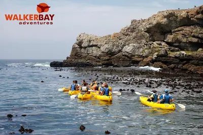 a group of people in yellow kayaks on a beach at Braeview Guest House in Hermanus