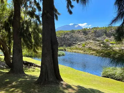 a group of trees in front of a river at Rivers Own Guest Lodge in Breerivier