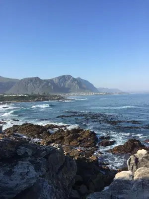 a beach with rocks and the ocean and mountains at Funky cottage in Hermanus