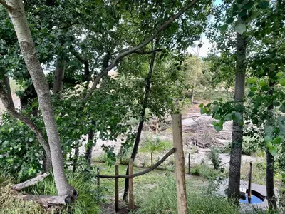 a group of trees with a fence in a field at UnderHill Farm in Klipkraal