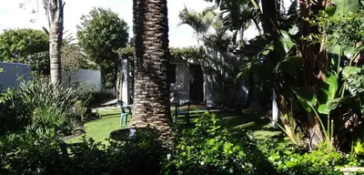 a garden with a palm tree and a chair at Be My Guest Lodge in Bloubergstrand