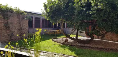 a garden with two trees in a yard at Port Del Mar Guesthouse in Hermanus