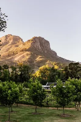 a mountain with a house and trees in front of it at MolenVliet Estate - Boutique Bed & Breakfast in Stellenbosch
