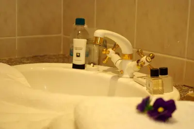 a bathroom sink with a faucet with soap and cosmetics at Lyngrove Wines & Guesthouse in Stellenbosch