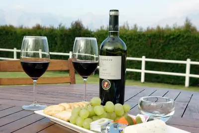a table with two glasses of wine and cheese at Lyngrove Wines & Guesthouse in Stellenbosch