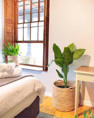 a bedroom with a plant in a pot next to a window at Olive Tree Boutique Hotel in Paarl