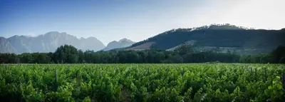 a field of grass with mountains in the background at Gite in Franschhoek