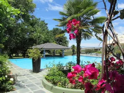 a swimming pool with pink flowers and a palm tree at Ridgemor Villa in Somerset West