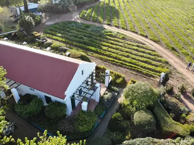an aerial view of a vineyard and a white building at Eikendal Lodge in Stellenbosch