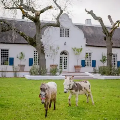 San Gabriel Homestead