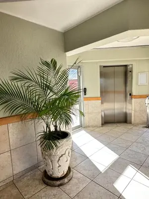a plant in a large pot in a lobby at Zeezicht 303 in Bloubergstrand