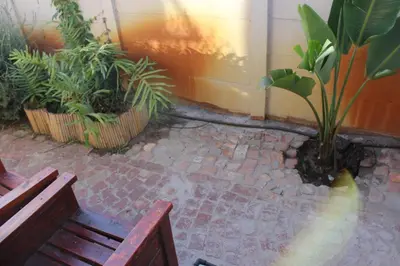 a bench sitting next to a bunch of plants at Amru Guesthouse B&B in Brackenfell