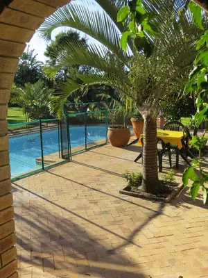 a palm tree next to a pool with a yellow table at Cape Oasis Guesthouse in Bloubergstrand