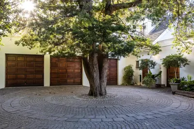 a tree in front of a building with two garage doors at The Bergzicht Guest Suite in Cape Town