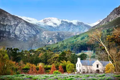 an old house in a field with mountains in the background at Lavender Farm Boutique Guest House in Franschhoek