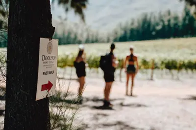 a group of people walking on the beach near a tree at AfriCamps at Doolhof Wine Estate in Wellington