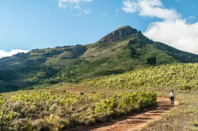 a person walking down a dirt trail in front of a mountain at AfriCamps at Doolhof Wine Estate in Wellington