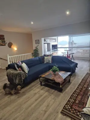 a living room with a blue couch and a dog at HERMANUS , SANDBAAI holiday house in Hermanus