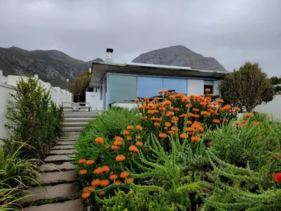 a garden with orange flowers in front of a building at Troon Beach Cottage Hermanus in Hermanus