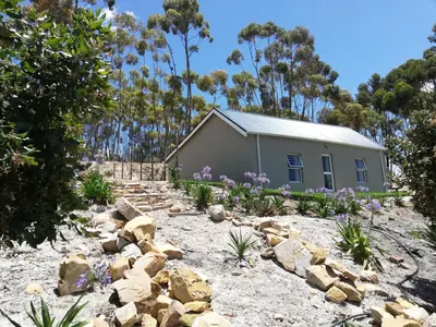 a house in the middle of a garden with flowers at Treyntjes Rivier Cottages in Caledon
