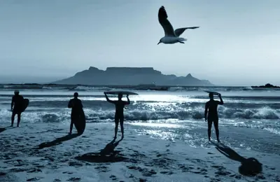 a group of people standing on a beach with a bird at Portico 606 in Bloubergstrand