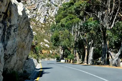 a road with trees on the side of a mountain at GORDON's SHORE LUXURY APARTMENTS - Solar Powered in Gordonʼs Bay