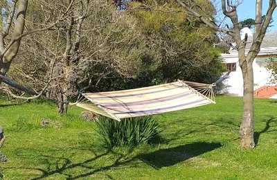 a hammock hanging from a tree in a yard at Weavers' Cottage in Gordonʼs Bay