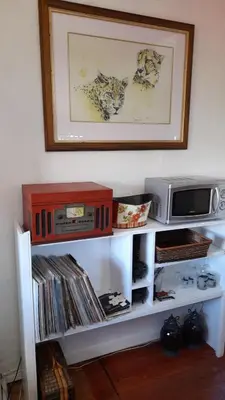 a white shelf with a microwave and cds at Oak on Blair in Somerset West