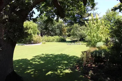 a large green field with a tree in the foreground at Vredenburg Manor House in Somerset West
