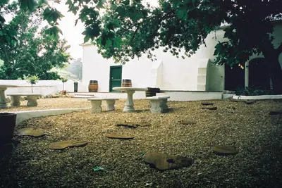 a park with benches and leaves on the ground at Mooiplaas Wine Estate in Stellenbosch