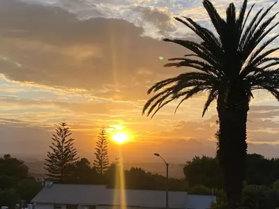 a palm tree in front of a sunset at Four Palms Accommodation in Durbanville