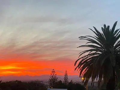 a palm tree in front of a sunset at Four Palms Accommodation in Durbanville